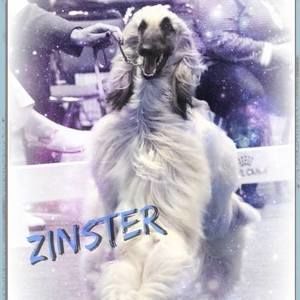 Meet your Posher, Katrina